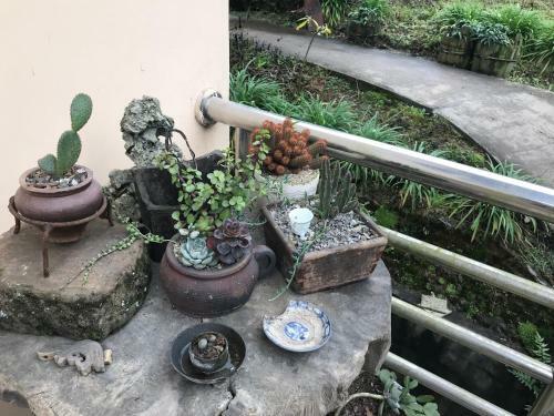 Mount Emei Feng Lin Yue Hotel