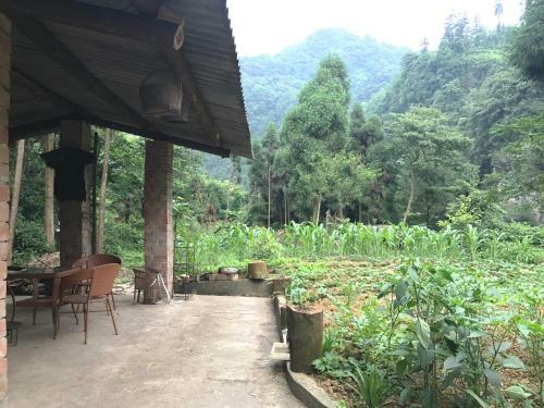Mount Emei Feng Lin Yue Hotel