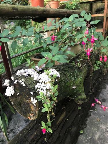 Mount Emei Feng Lin Yue Hotel