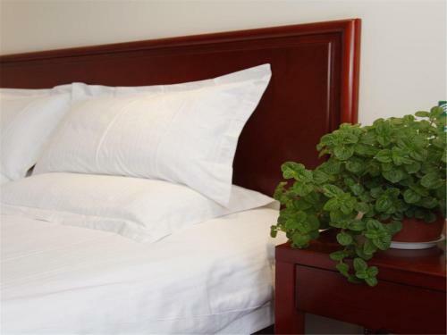 Greentree Inn Beijing Shunyi Modern Motor City Express Hotel