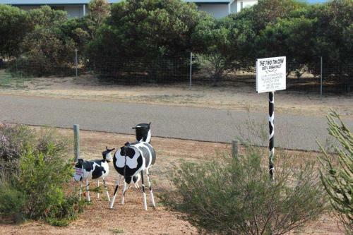 The Two Tin Cow B&B