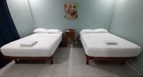 Maya Bella Downtown Hotel