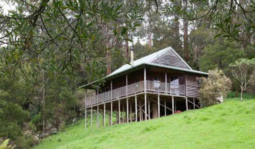 Tall Trees Retreat