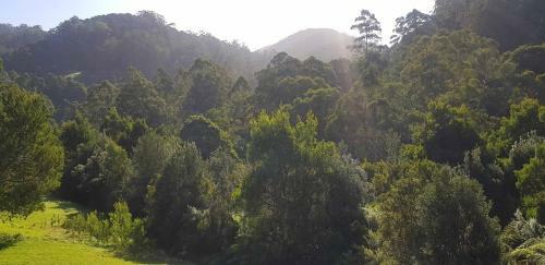 Tall Trees Retreat