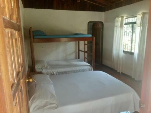 Hostal Corcovado Wild Hostel