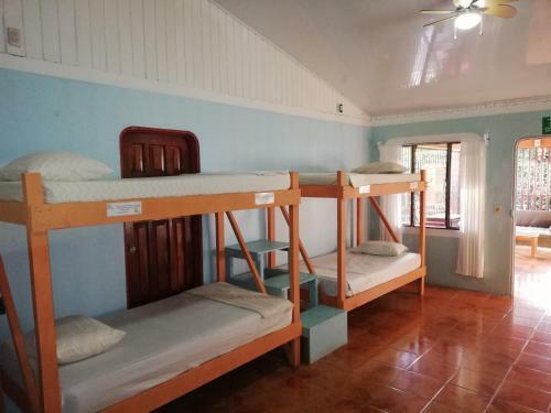 Hostal Corcovado Wild Hostel