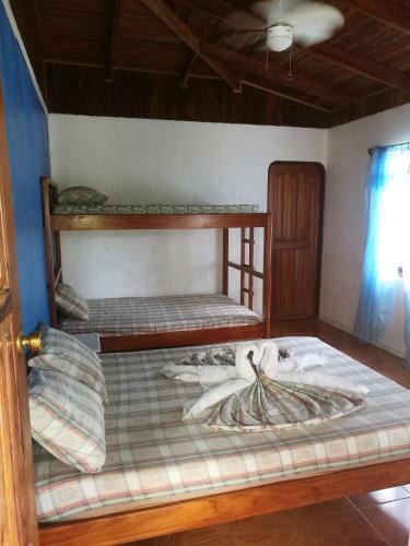 Hostal Corcovado Wild Hostel