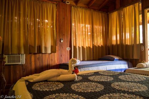 Osa Lodge