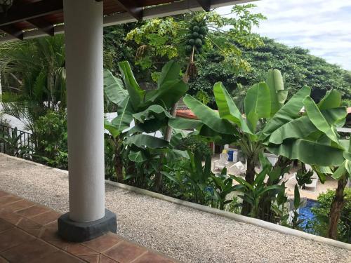 Aparthotel Hotel Flores