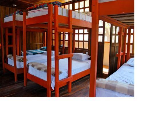 Coral Reef Surf Hostel And Camp
