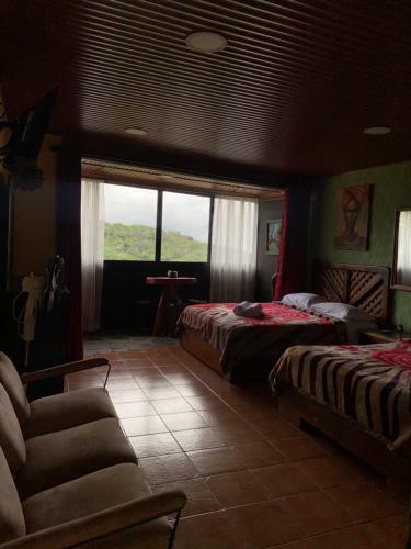 Hostal Hammock House