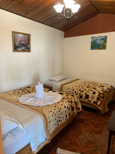 Hostal Hammock House