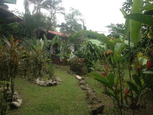 Caribbean House