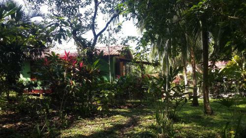 Caribbean House