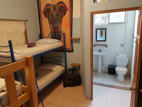 Hostal Slow Monkey Hostel