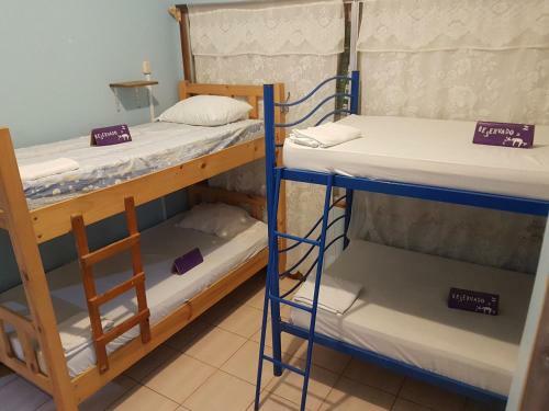 Hostal Slow Monkey Hostel