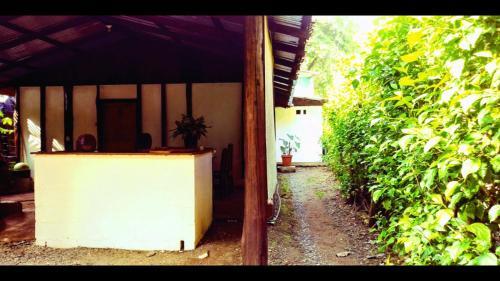 Hostal Toritos Guest Room