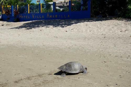 Bed & Breakfast Hotel Villa Amarilla