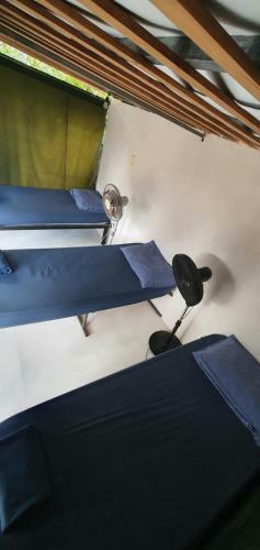 Hostal Riva Hostel Jaco