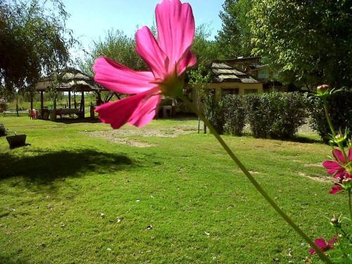 Agroturismo Caba�as Walwalun