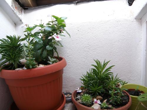 Apartment Amalija