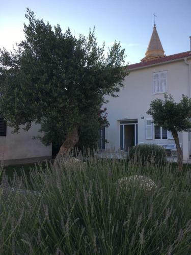 Hostal Sobe Zeneral