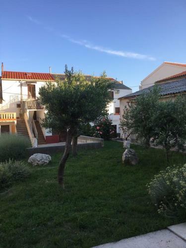 Hostal Sobe Zeneral