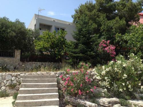 Apartments Petrovic