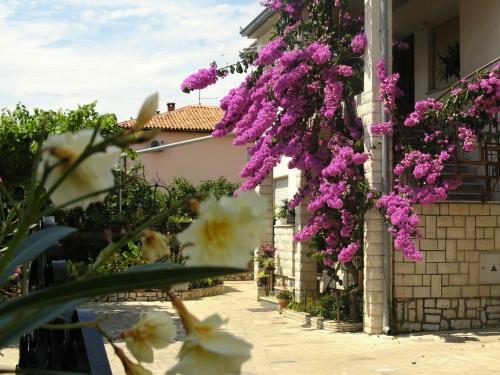 Apartments Villa Rosa