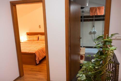 Apartment Stancija Rosello