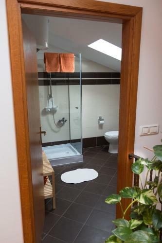 Apartment Stancija Rosello