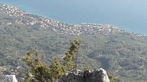 Apartamentos Villa Rossa