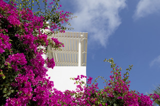 Hotel Meli Meli