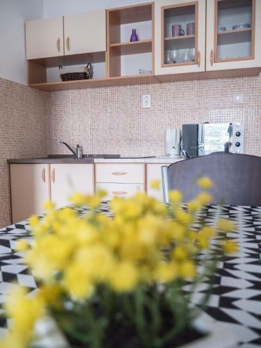 Apartments Boki