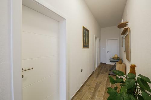 Apartments Josip