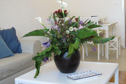 Apartamentos Villa Belsito