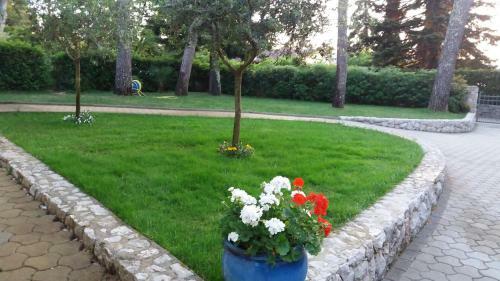 Apartments Atrium Malinska