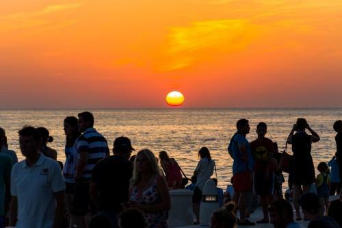 Apartments Sea Organ Zadar