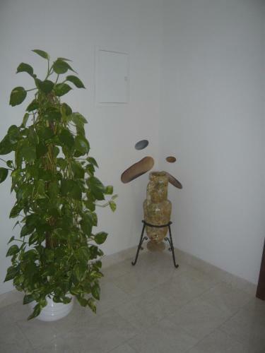 Apartamentos Guest House Villa Ana
