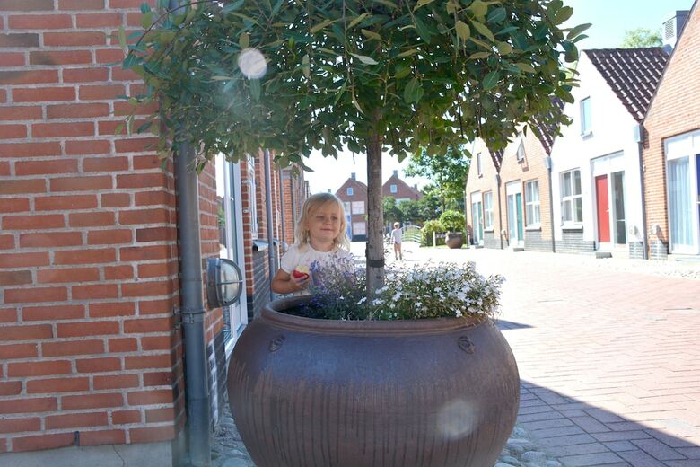 Ribe Byferie Resort