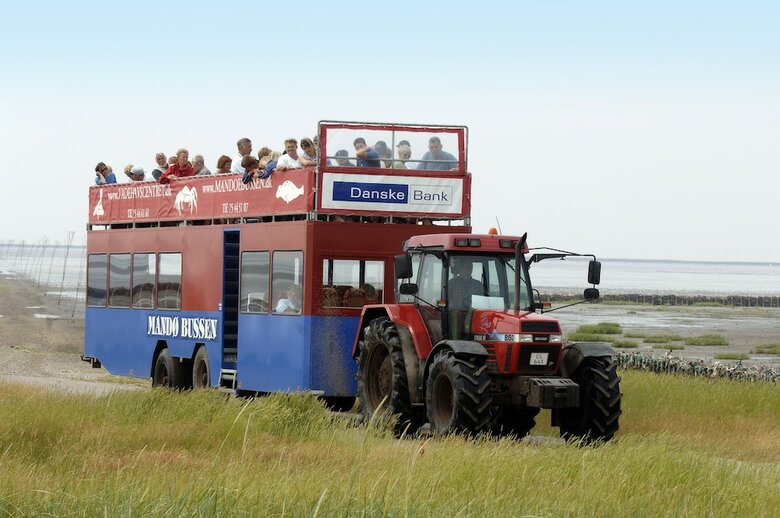 Ribe Byferie Resort