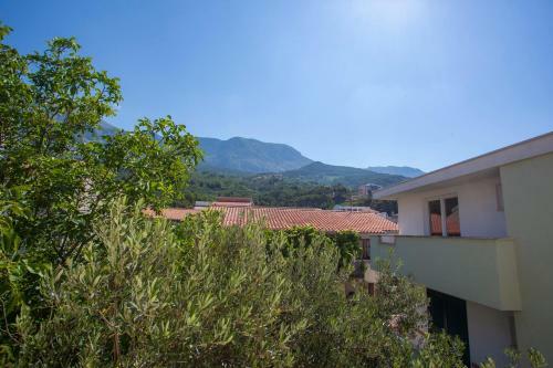 Apartments Ankora