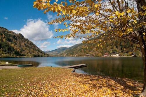 Hostal Pension Almhof