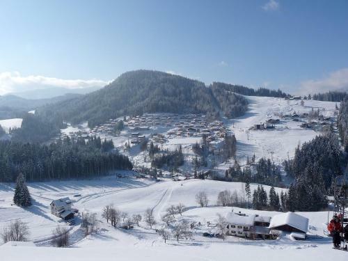 Hotel Alpenrose 8