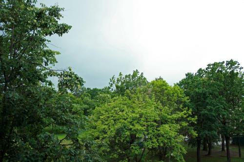 Posada Inn Ecodom