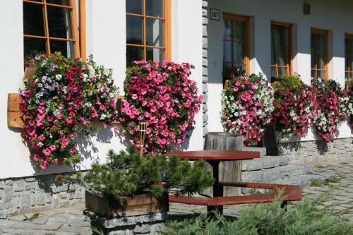 Hostal Penzion Slnecny Dom