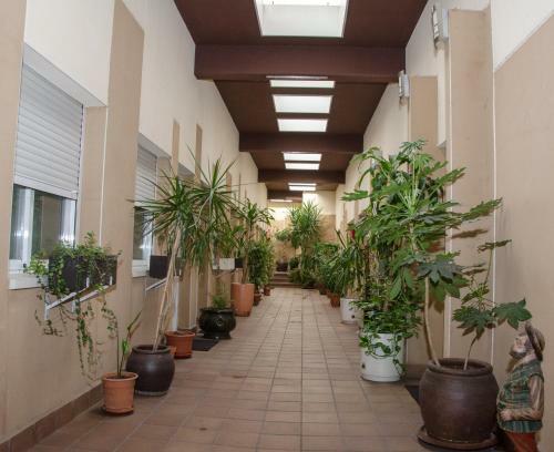 Hotel Ciudad De Alcala