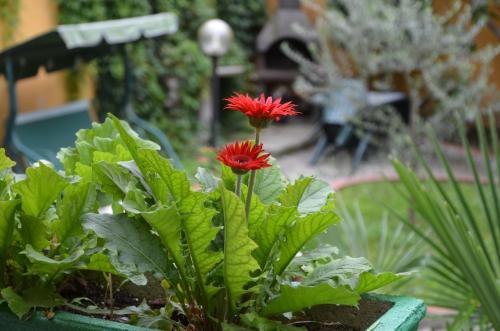 Bed & Breakfast Villa Cheta Milano