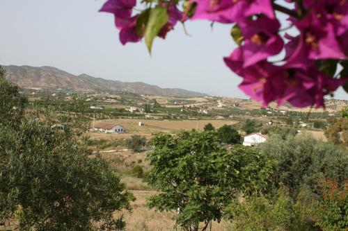 Bed & Breakfast Cortijo Andaluz