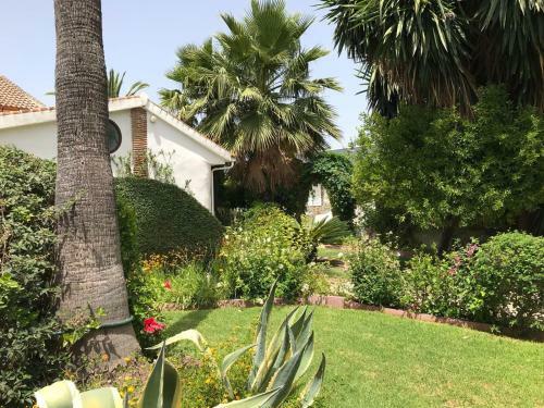 Bed & Breakfast Cortijo Andaluz
